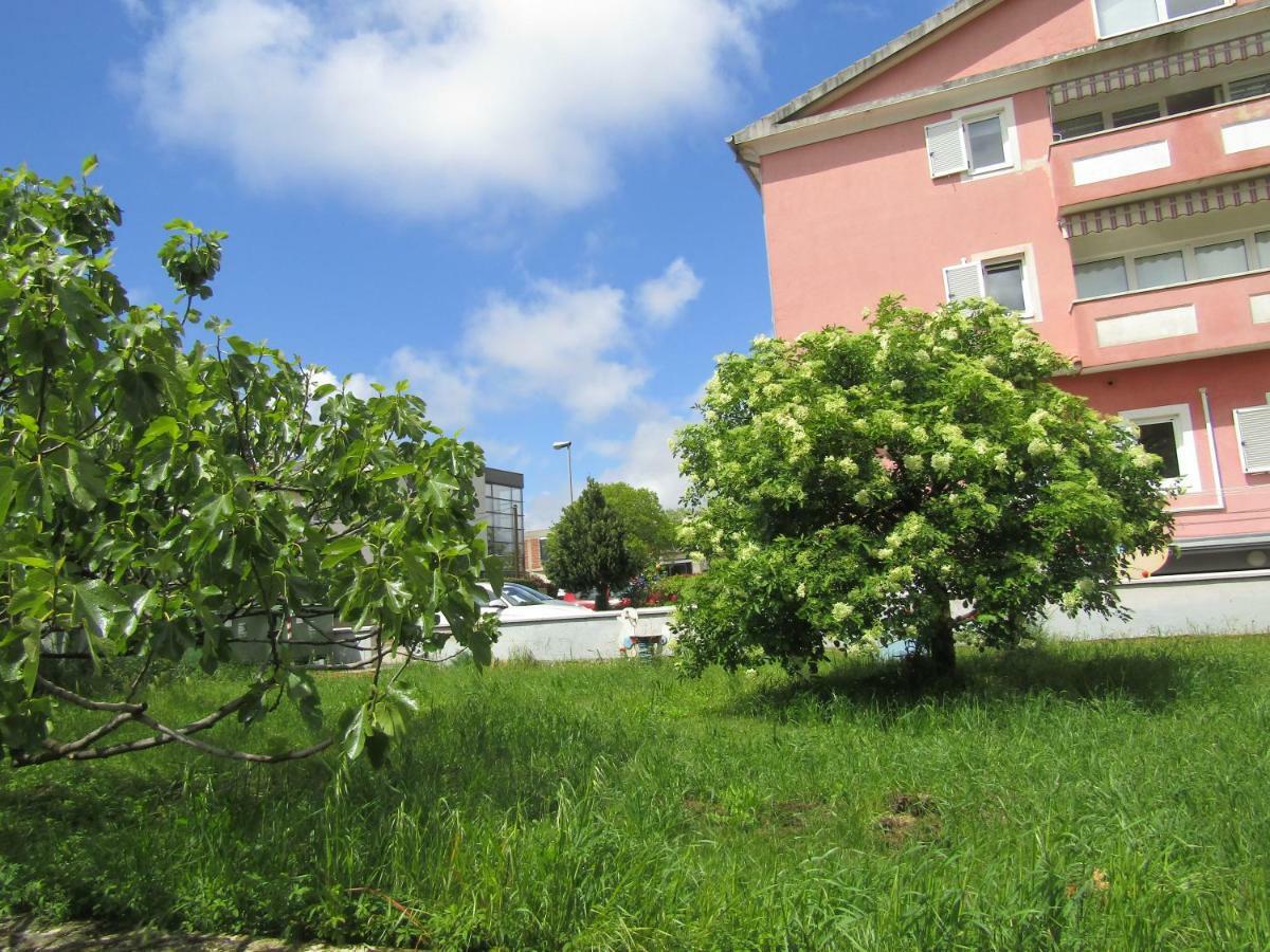 Garden *